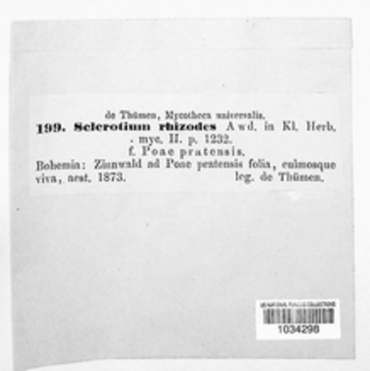 Ceratorhiza rhizodes image
